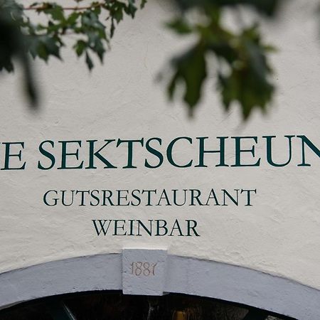 Weingut Und Gaestehaus Zilliken Nittel Kültér fotó