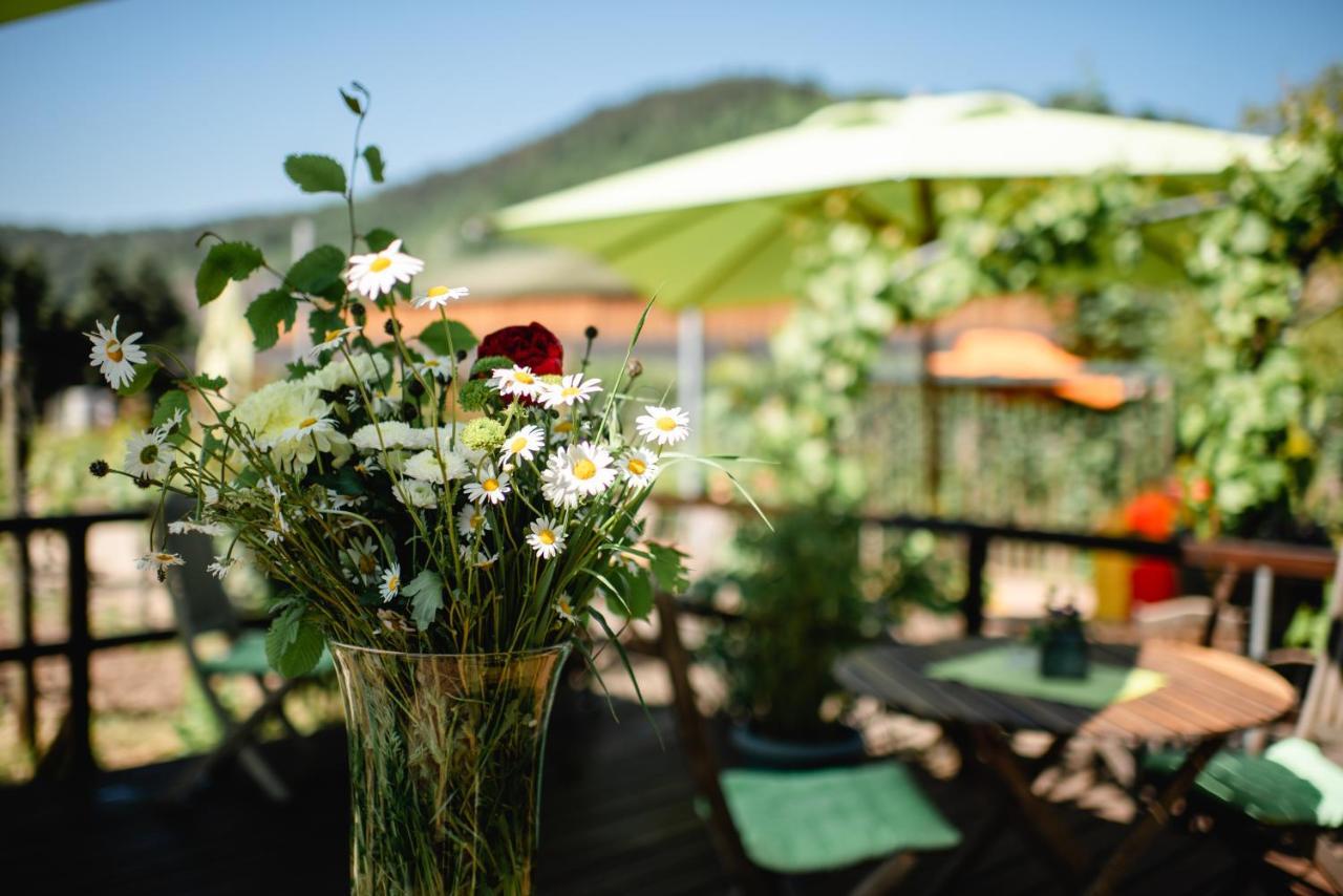 Weingut Und Gaestehaus Zilliken Nittel Kültér fotó