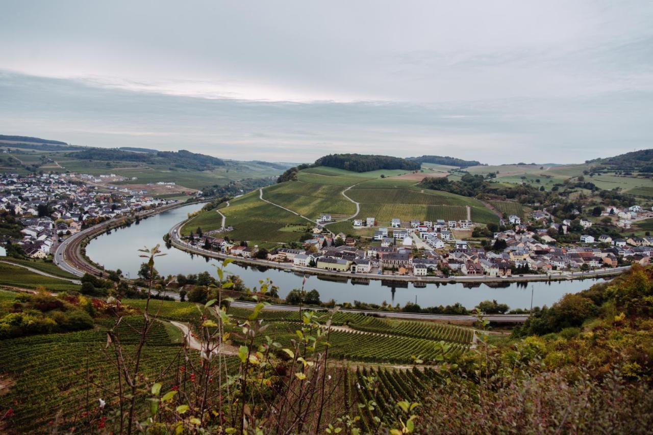 Weingut Und Gaestehaus Zilliken Nittel Kültér fotó
